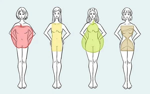 body shape types