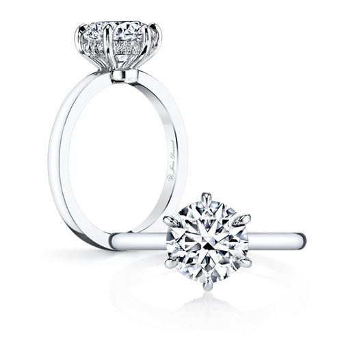 engagement ring guide 5